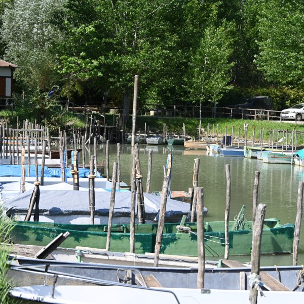 DSC_5015.JPG