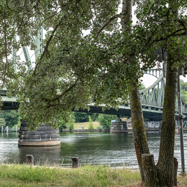 L1090132.jpg